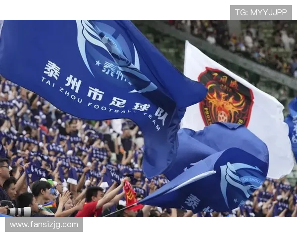 徐兵回应泰州队争议：阵容完全符合苏超规则